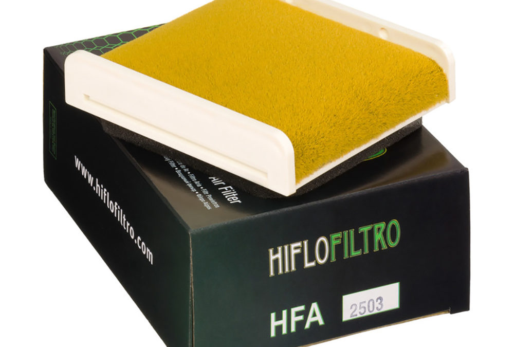 HIFLO Air Filter Element HFA2503 KAW