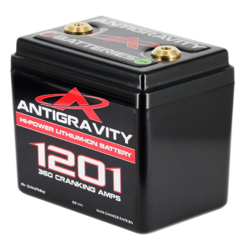 AG1201 12-Cell Lithium Battery - Image 2