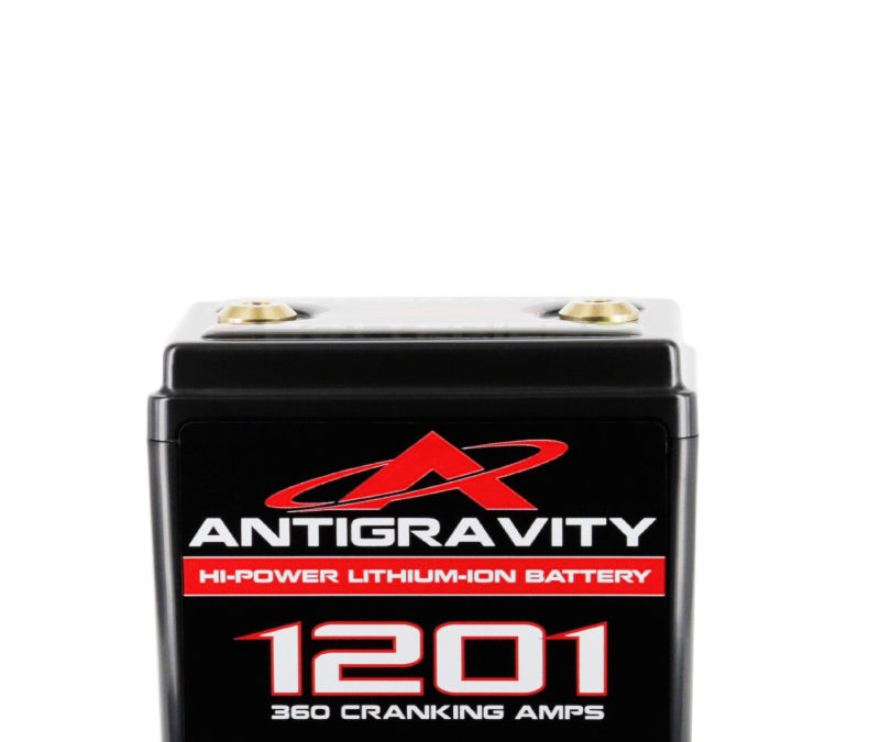 AG1201 12-Cell Lithium Battery