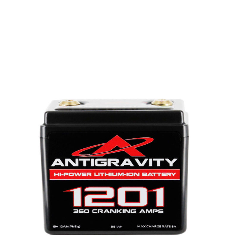 AG1201 12-Cell Lithium Battery